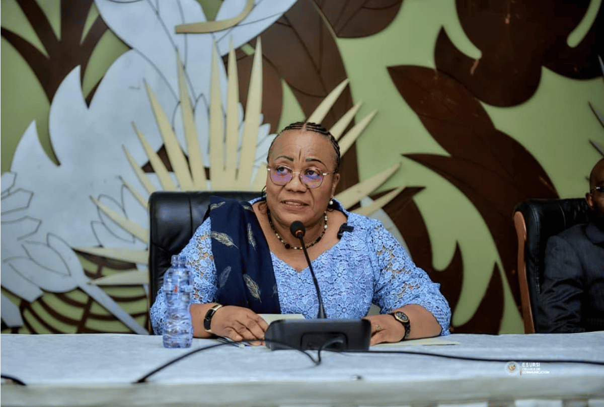 La République démocratique du Congo lance un portail numérique pour moderniser son système d&rsquo;enseignement supérieur et de recherche.